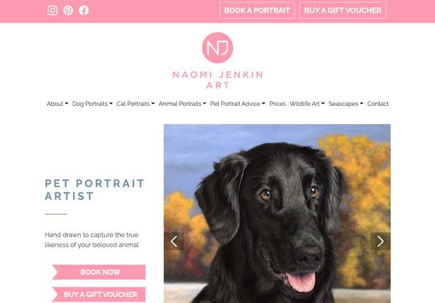 Image of the homepage from Naomi's website