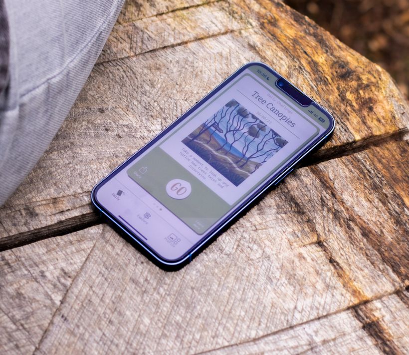 Image of the Wylder app in action