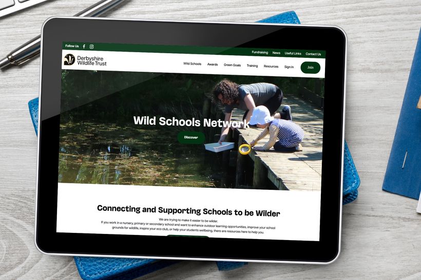 Bespoke Accreditation System Case Study