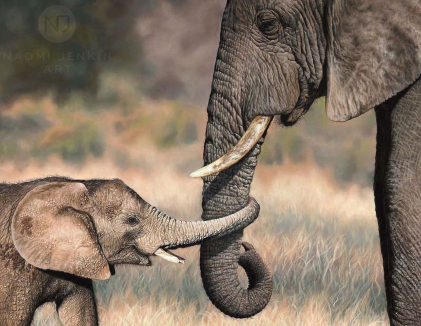 One of the images used by artist Naomi Jenkin on her website