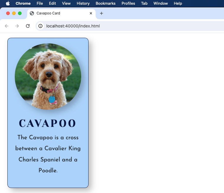 styled html of text and image