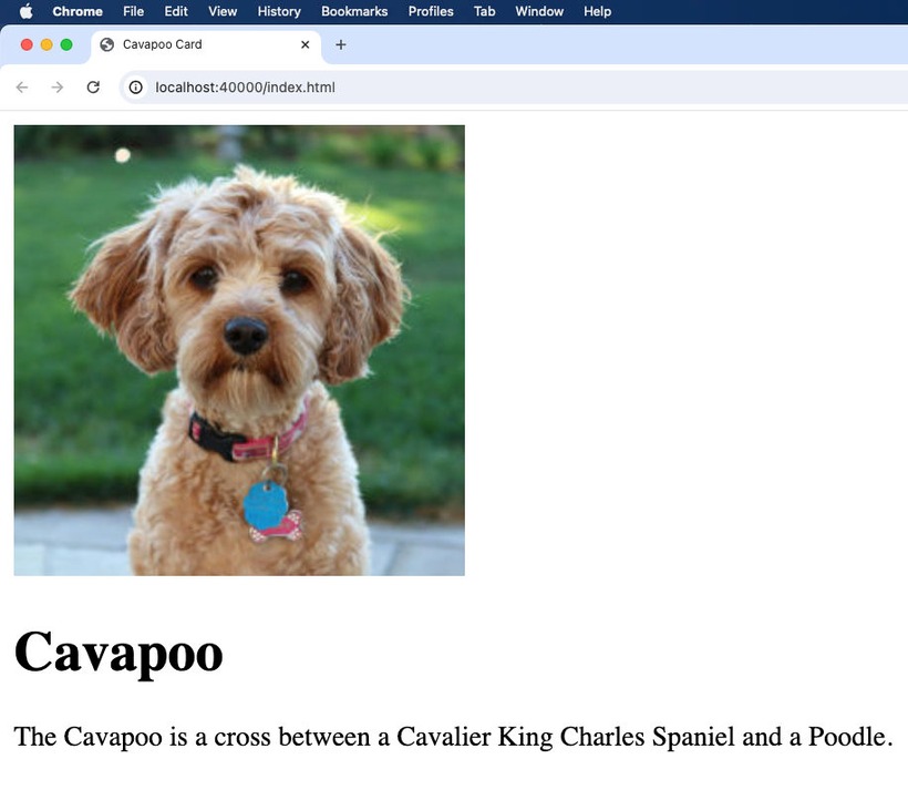 unstyled html of text and image