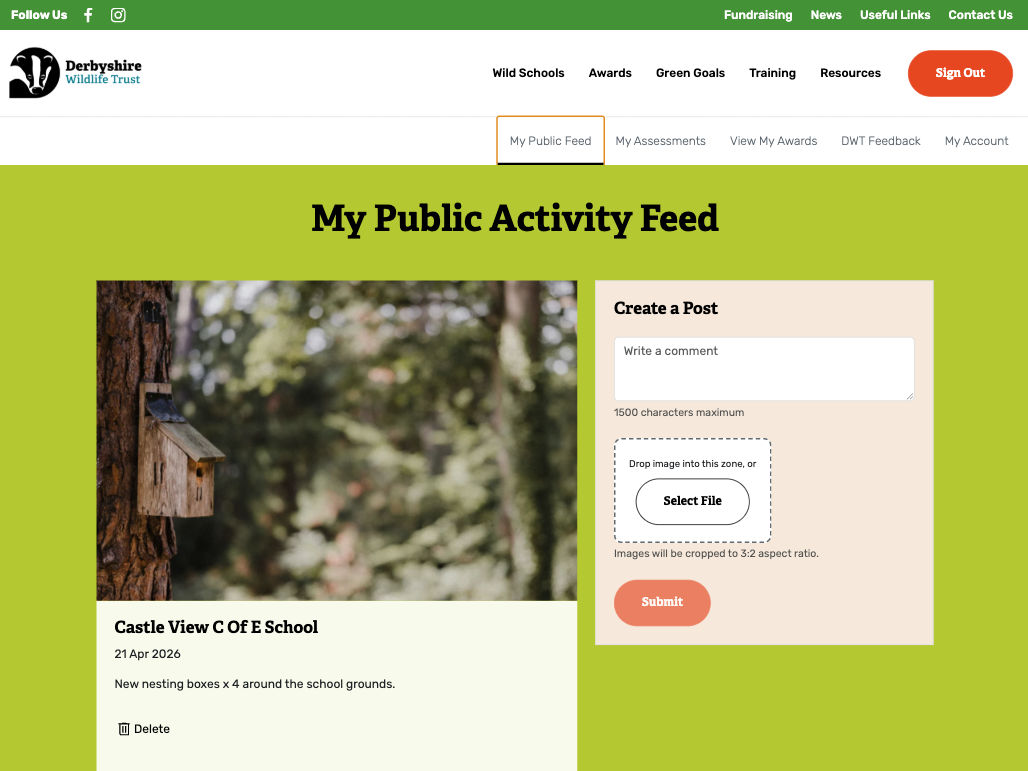 news feed with latest posts